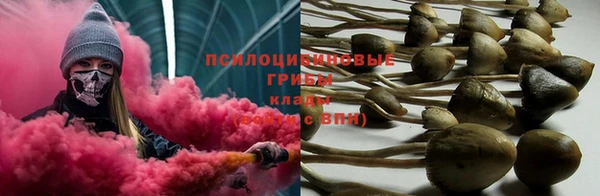 a pvp Алзамай